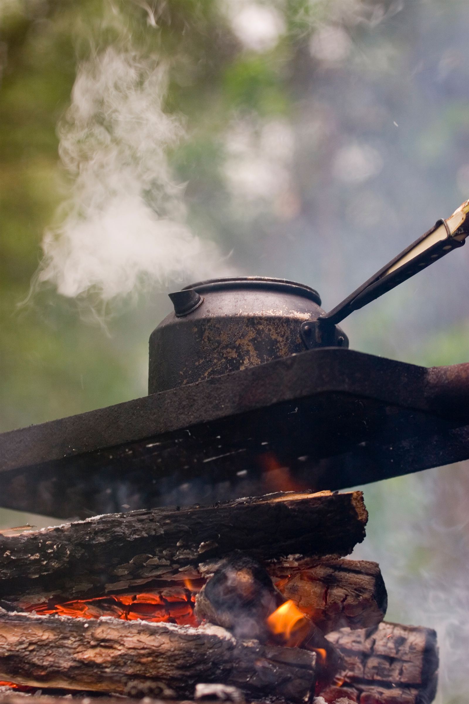 Open-fire cooking at Sörbyn Lodge